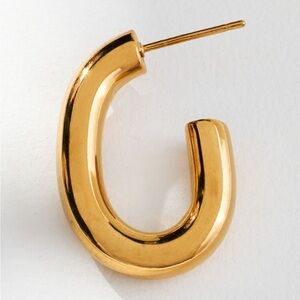 Anthropologie Gold Hoop Earrings